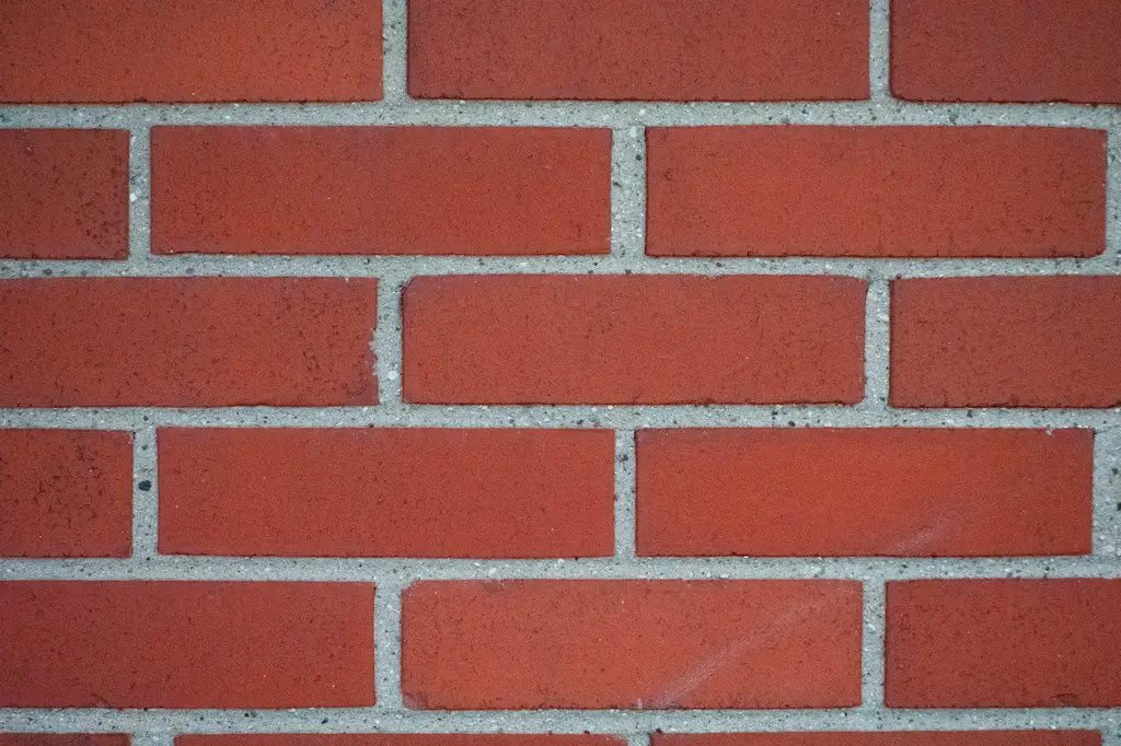 Common & Concrete Bricks