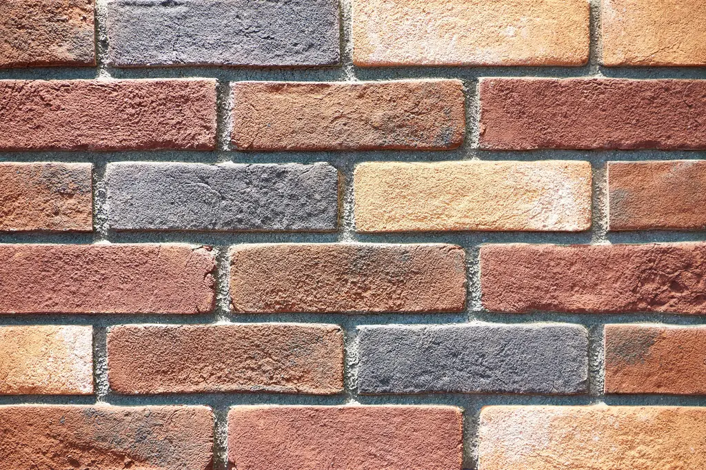 Decorative & Feature Bricks