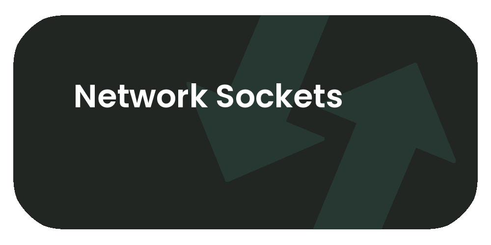 Network Sockets