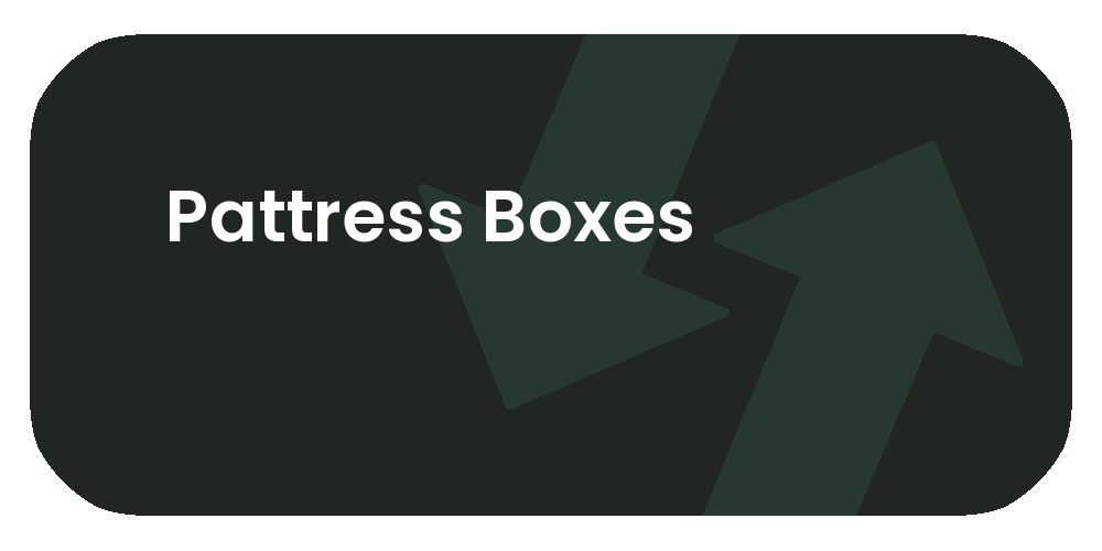 Pattress Boxes