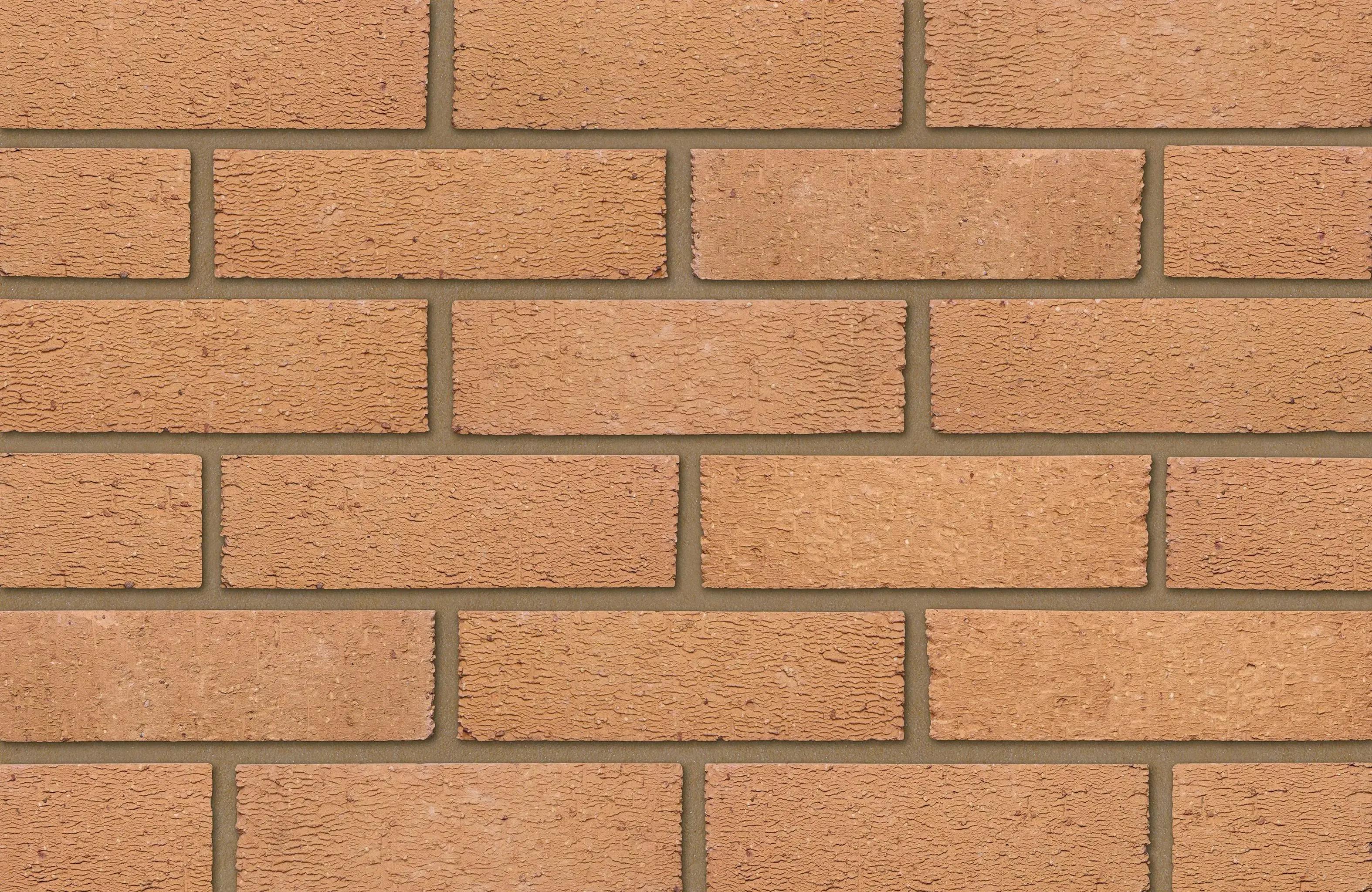Ibstock Brick Aldridge Anglian Buff Multi Rustic 65mm (Each)