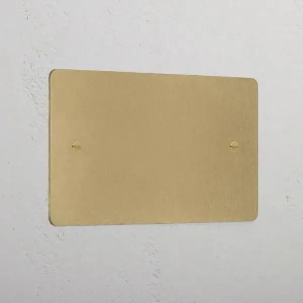 Corston 2G Blank Plate (Antique Brass)